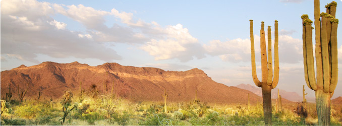 Arizona CD/DVD Duplication, Arizona CD/DVD Replication