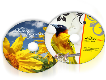 CD Printing, DVD Printing, Blank printed discs