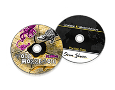 Blank Printed CDs