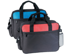Two business computer bags